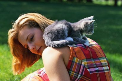 6 most frequently asked questions regarding your new kitten – Part III Image